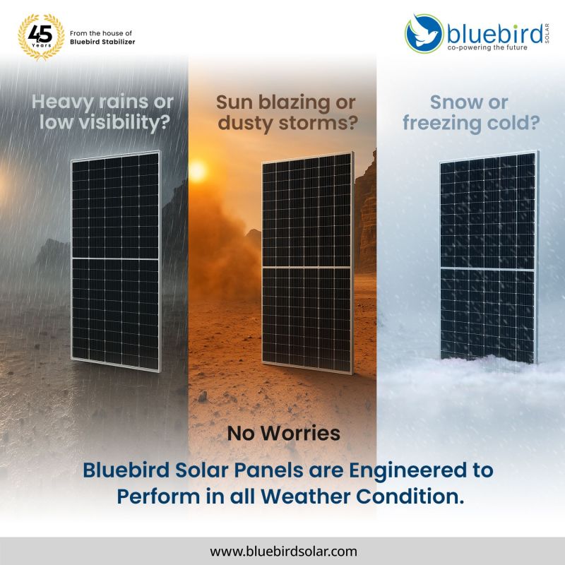 bluebird Solar Sitashya