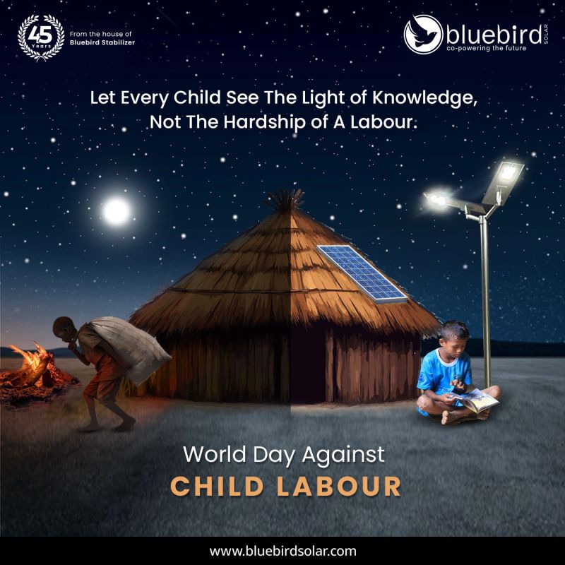 Bluebird Solar Sitashya