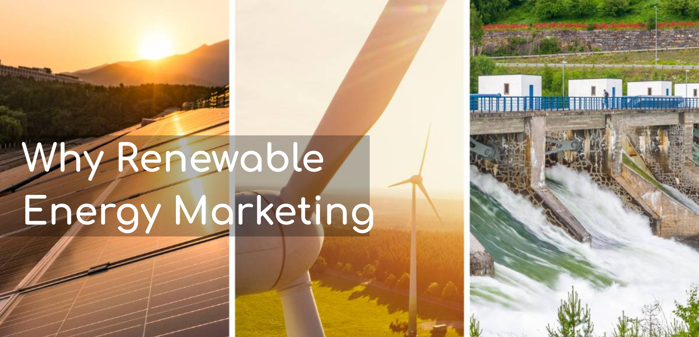 Sitashya Banner Desktop