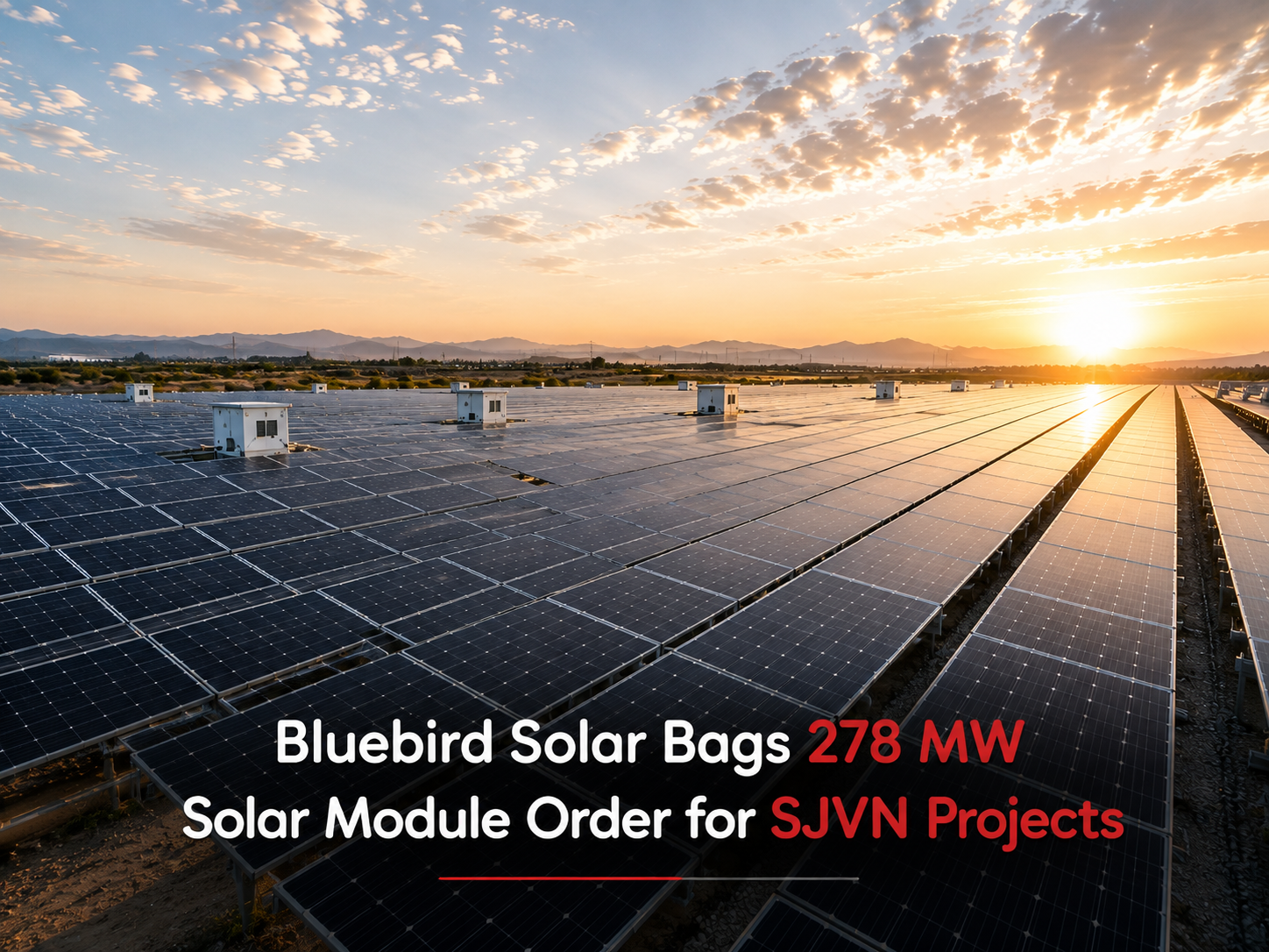 Solar News Bluebird solar